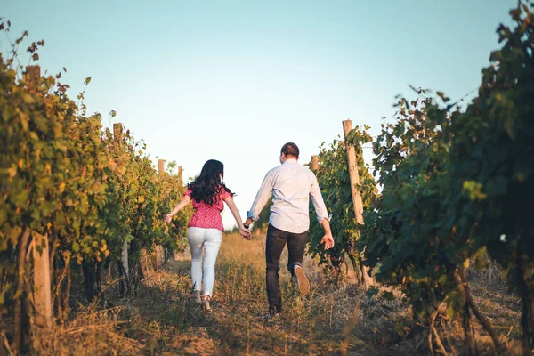 若いロマンチックなカップルがブドウ畑を駆け抜ける — ストック写真