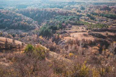 Ormanlı tepenin panoramik manzarası