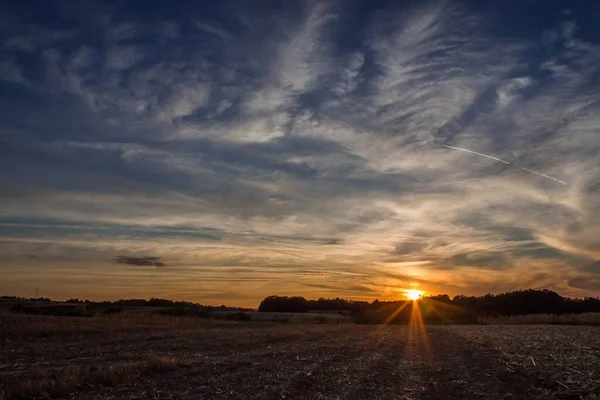 Campo Grano Dorato Nelle Ore Pomeridiane Sfondo Paesaggio — Foto Stock