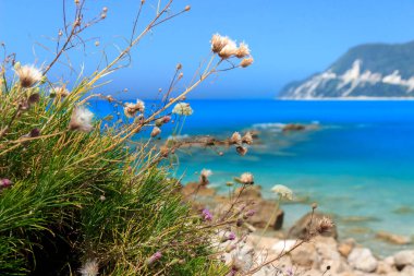 Yunanistan 'da yaz manzarası, Lefkada. Arkaplan, boşluğu kopyala