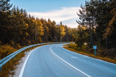 Ormanın içinden geçen boş asfalt yol. Vlasina Gölü, Doğu Sırbistan