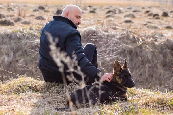 Sahibi Yanında Oturan Genç Alman Çoban Köpeğini Okşuyor — Stok fotoğraf