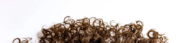Brunette Σγουρά Μαλλιά Επέκταση Απομονώνονται Λευκό Φόντο Banner Ευρεία Μορφή — Φωτογραφία Αρχείου