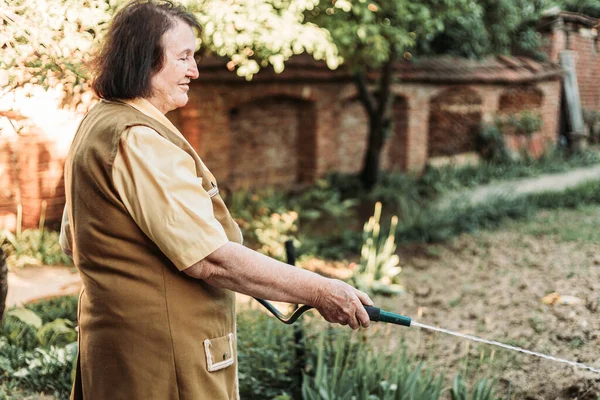 園芸ホースを持つ高齢女性 散水庭園 — ストック写真