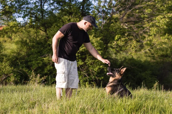 Sahibi Doğada Alman Çoban Köpeğiyle Oynuyor — Stok fotoğraf