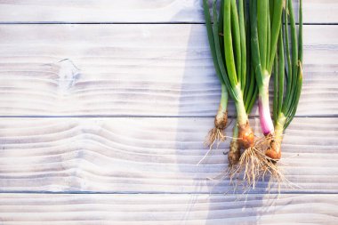 Tahta masada taze taze taze soğan. Sağlıklı, organik gıda konsepti