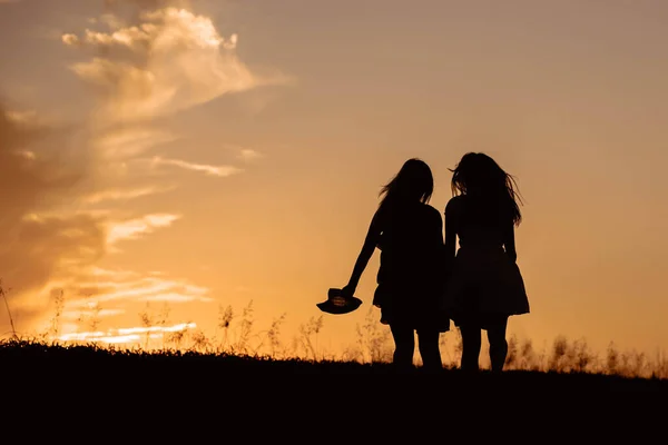 Twee Vrouwelijke Silhouetfiguren Het Middaglicht Geluk Vriendschap Concept — Stockfoto