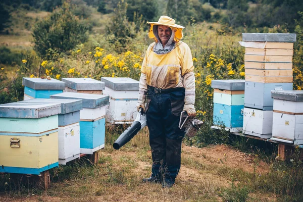 Arı yetiştiricisi arıcıda çalışıyor. Arıcılık konsepti