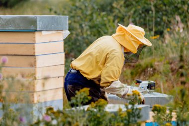 Arı yetiştiricisi arıcıda çalışıyor. Arıcılık konsepti