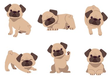Düz vektör tarzında sevimli pug dog koleksiyonu. Grafik, içerik, afiş, etiket ve tebrik kartı için köpek hakkında grafik kaynağı.