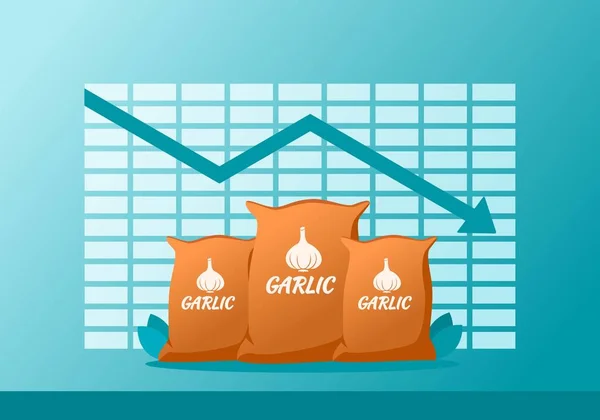 Garlic Price Value Stock Market Demand Decrease Drop Statistic Report — 스톡 벡터