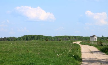 Kırsal manzara: Alan ve yol