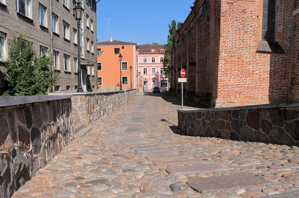 CALLE CARRETERA ENTRE DOS HOGARES — Foto de Stock