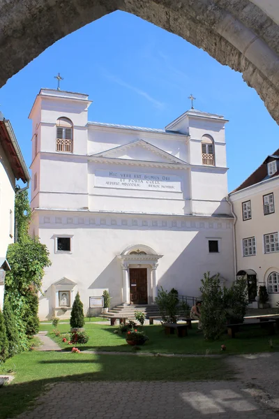 Katholische Kathedrale von Peter und Paul — Stockfoto