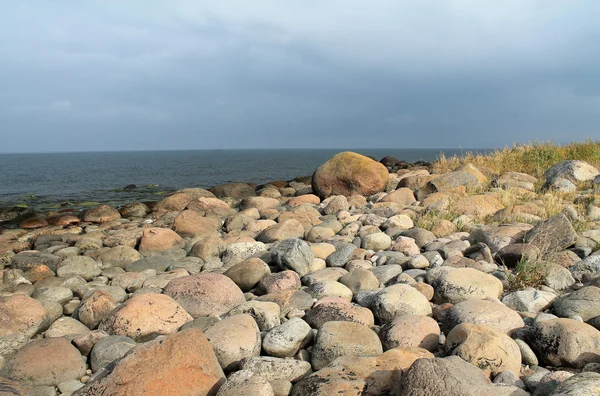 Oblázková pláž v Estonsku — Stock fotografie