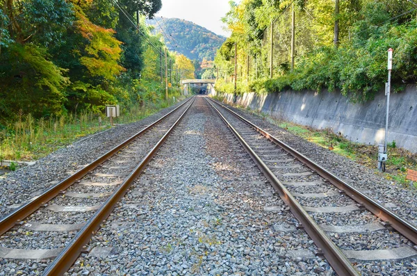Kolejowa, Railroad — Zdjęcie stockowe