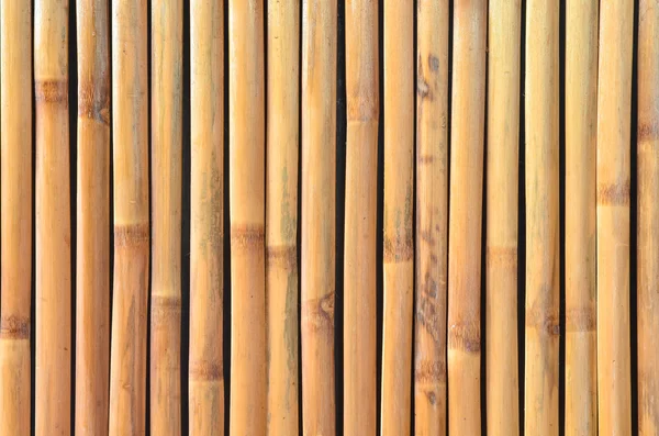 Bamboo background — Stock Photo, Image