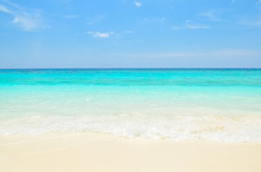 Güzel tropikal kumsal