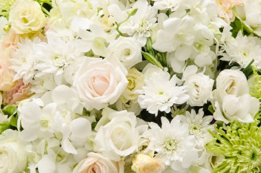 Güzel Çiçekler arka planı