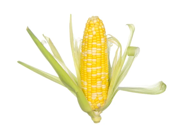 Солодка кукурудза ізольована на білому фоні — стокове фото