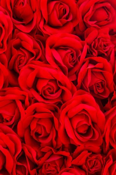 Red rose background — Stock Photo, Image