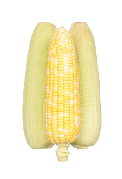 Три кукурудзи ізольовані на білому — стокове фото