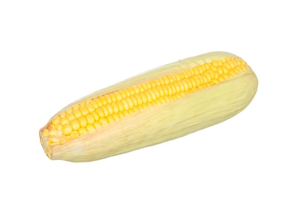 Corn isolated on white — Stock Photo, Image