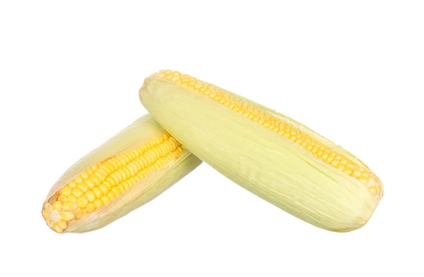 Two corn isolated on white — Stock Photo, Image