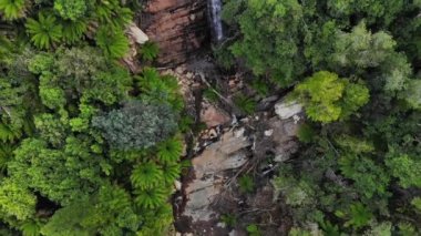 Şelale ve Tazmanya yağmur ormanlarının üzerinde uçan insansız hava aracı atışı. Yeşil ve turuncu arasında hoş bir karşıtlık