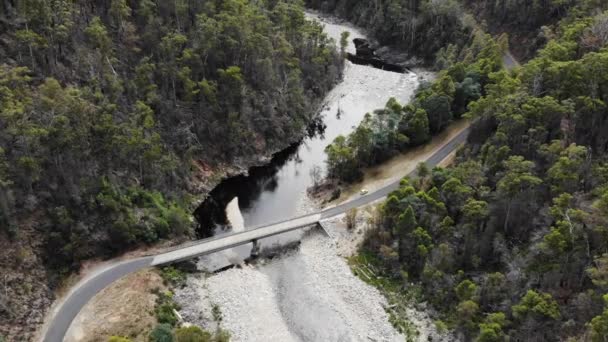 Drone Pasando Lentamente Puente Mirando Directamente Bosque Dispara Tasmania Australia — Vídeo de stock
