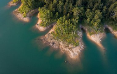 Bu orman bir adada, İHA 'dan ateş edin.