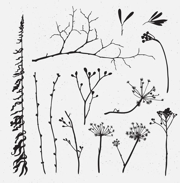 Silhouetten von Blumen und Gras — Stockvektor