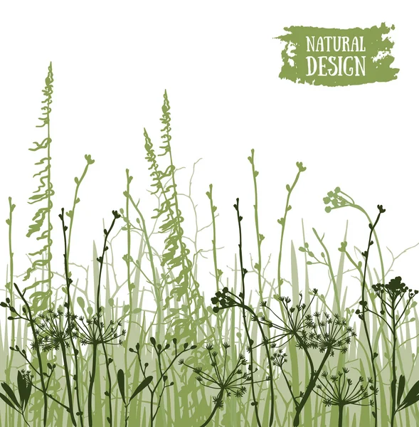 Affiche avec des silhouettes de fleurs et d'herbe — Image vectorielle
