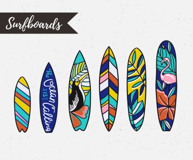 Tropik bitkiler ile sörf tahtaları kümesi