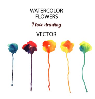 Suluboya çiçek seti.