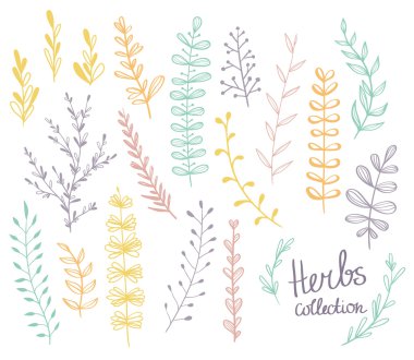 Watercolor hand illustrated floral pattern clipart