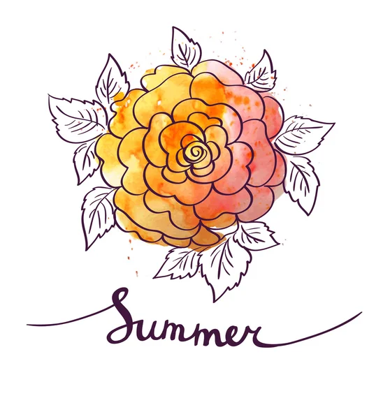 Fondo floral de verano — Archivo Imágenes Vectoriales