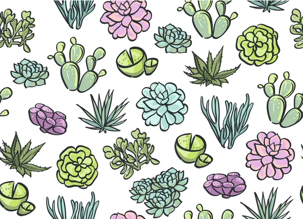 Succulents seamless pattern. — Stock Vector