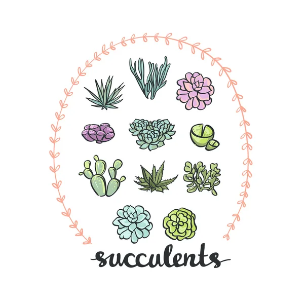 Ręcznie rysowane kaktus zestaw. — Wektor stockowy
