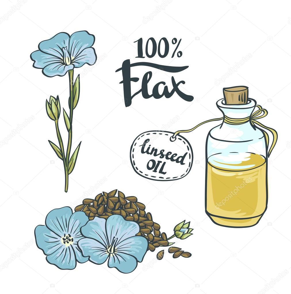 Flax Seeds and flowers and oil.