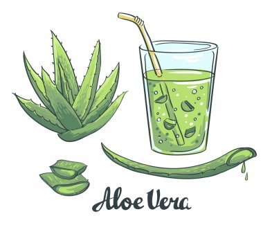 aloe vera cam