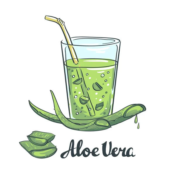 Aloe vera, üveg — Stock Vector