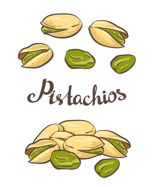 Жареные орехи фисташки — стоковый вектор