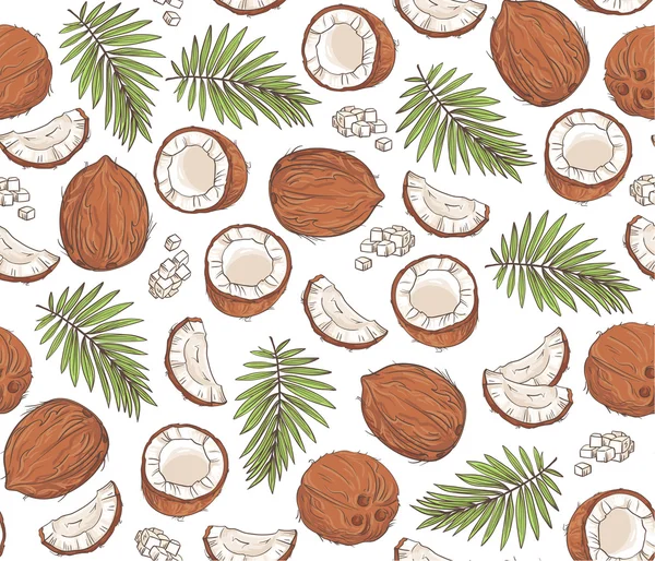 Cocos y hojas tropicales — Vector de stock