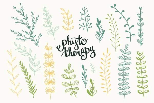 Stylish lettering Phytotherapy — Διανυσματικό Αρχείο