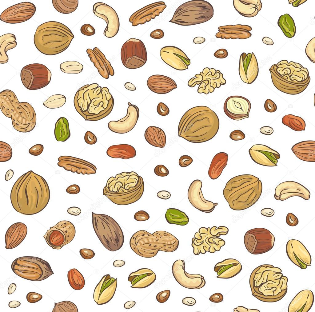pattern with hand sketched nuts