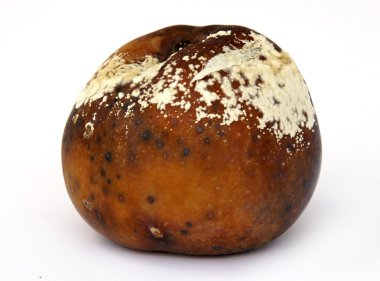 Beyaz üzerine çürük elma