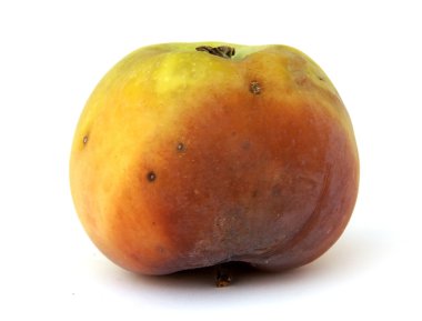 Beyaz üzerine çürük elma