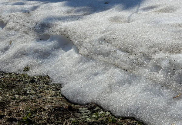 Restos Cubierta Nieve Con Manchas Tierra Principios Primavera —  Fotos de Stock