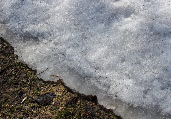 Remains Snow Cover Spots Dirt Early Spring — Stock Photo, Image
